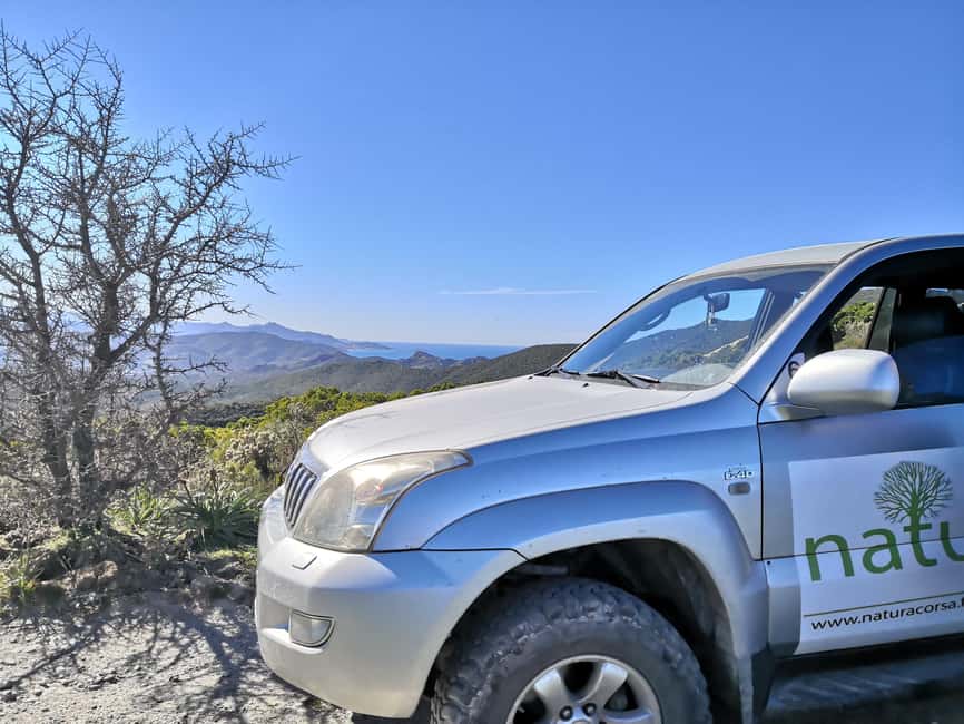 4x4 Agriates Desert and Beach Excursion from Calvi - Key things that make this day work