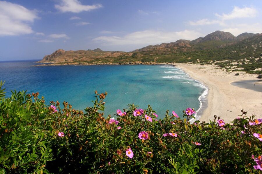 4x4 Agriates Desert and Beach Excursion from Calvi - Who Should Book This Excursion, And Who Should Skip It