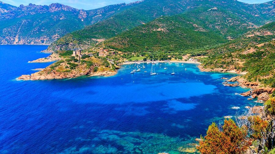 Ajaccio: Full-Day Corsica West Coast Guided Boat Tour - Girolata: sea-only village time and wild cows as neighbors