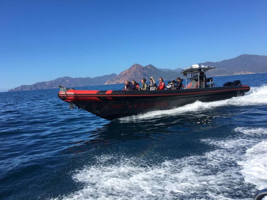Ajaccio/Porticcio: Scandola & Piana Semi-Rigid Boat Day Trip - Girolata, your 2-hour break in a sea-only village