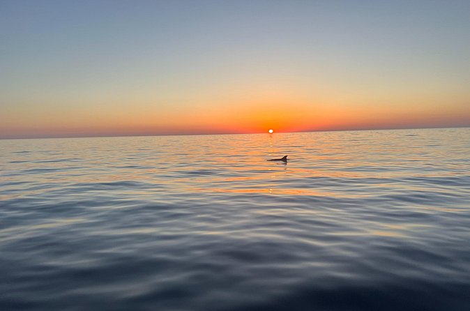 Aperitif Sunset at Sea Unforgettable Cruise at Sunset - The Aperitif Moment Under Music, Corsican Flavors, and Sunset Light