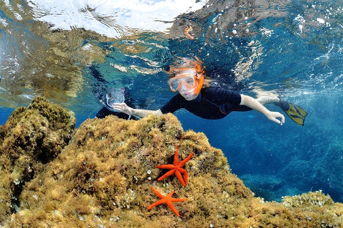 Boat Trip and Snorkeling in the Gulf of Calvi - Quick Key Points Before You Go