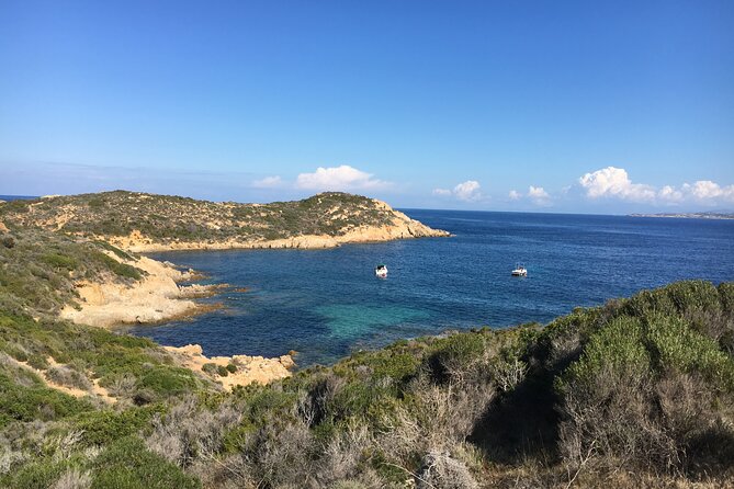 Boat Trip and Snorkeling in the Gulf of Calvi - Getting There in Calvi and What to Bring