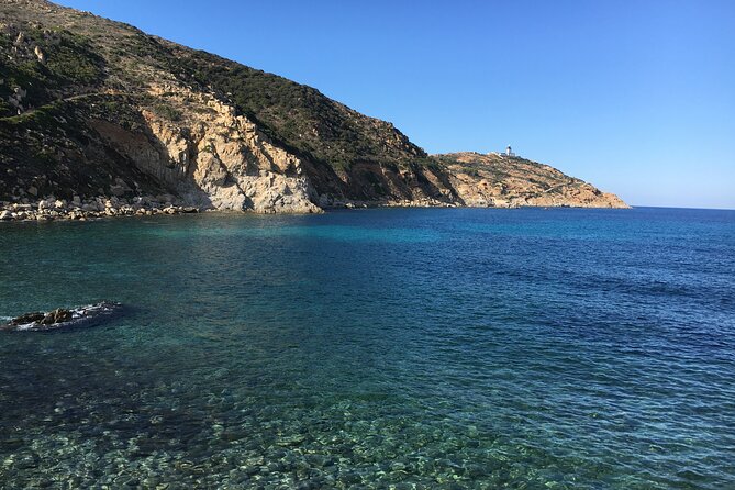 Boat Trip and Snorkeling in the Gulf of Calvi - Price and Value: Why $42.01 Can Be a Smart Buy