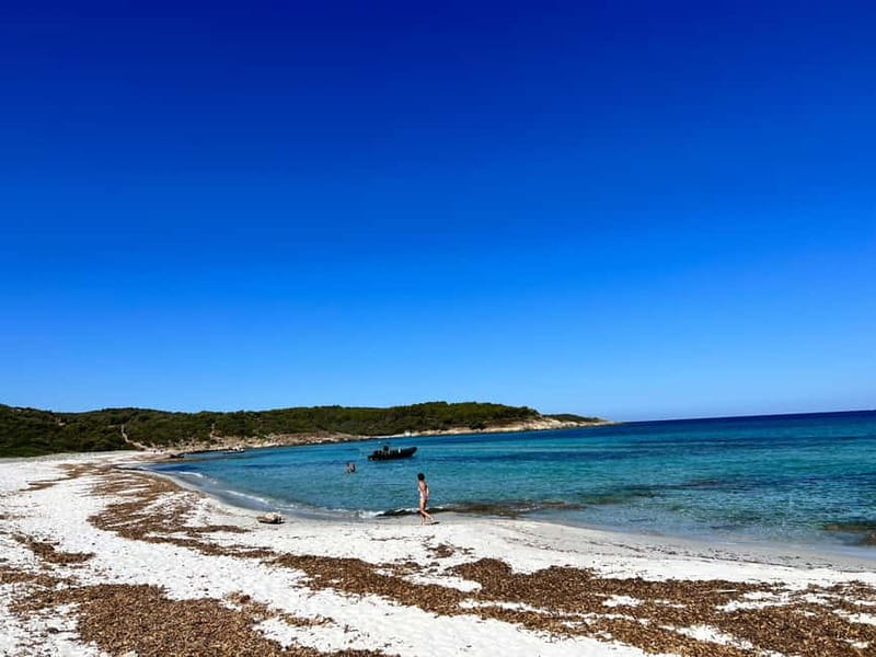 Boat trip from Calvi to the Agriate Desert - Swimming With Fish: What It Feels Like And How To Prepare