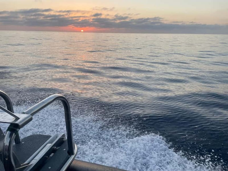 Boat trip from Calvi to the Agriate Desert - Who This Boat Trip Fits Best (And Who Should Skip It)