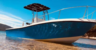 croisière guidée et snorkelling aux îles lavezzi