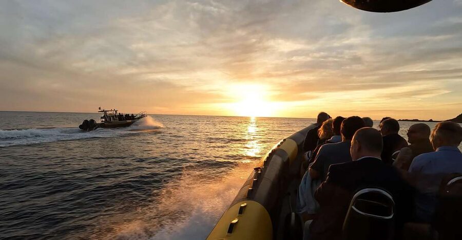Cala d'Orzu Sunset, Cacoa and Snorkeling - How this Ajaccio-Porticcio sunset speedboat outing really runs