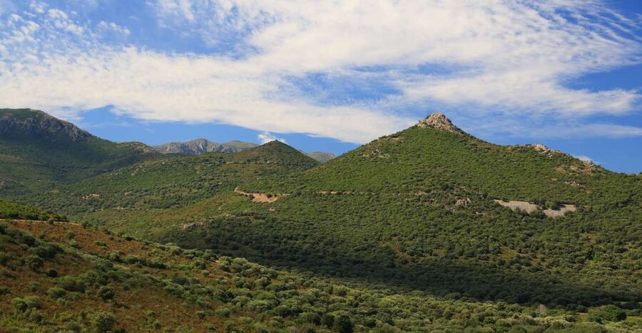 Calvi: Asco Valley 4x4 Day Tour with Guide - What this tour is really about