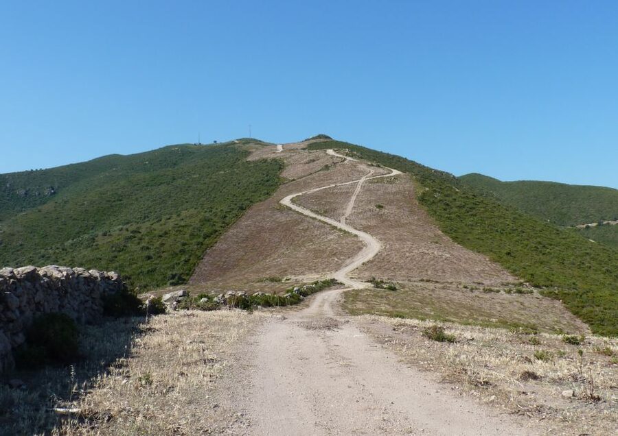 Calvi: Asco Valley 4x4 Day Tour with Guide - Key highlights I’d plan my day around