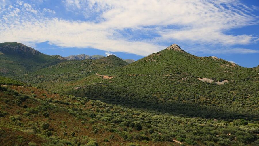 Calvi: Asco Valley 4x4 Day Tour with Guide - Price and value: what you get for $123 per person