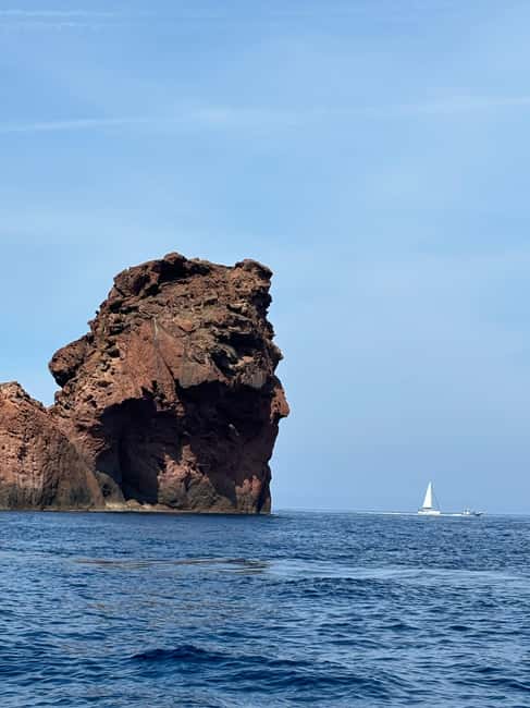 Calvi: Guided speedboat tour to Scandola - Timing in plain terms, 4 hours total with 90 minutes in Scandola