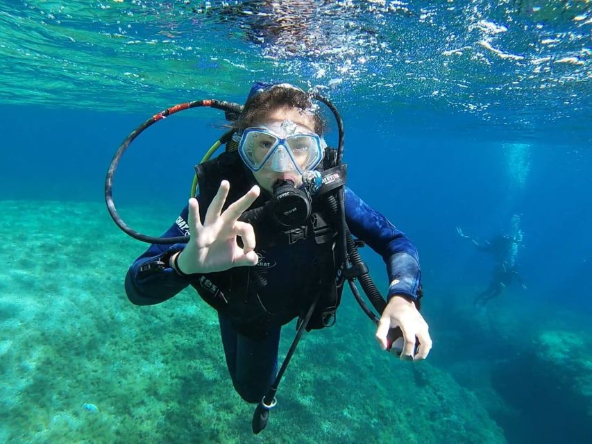 Calvi: Introduction to Diving Dive with an Instructor - Key things to know before you go