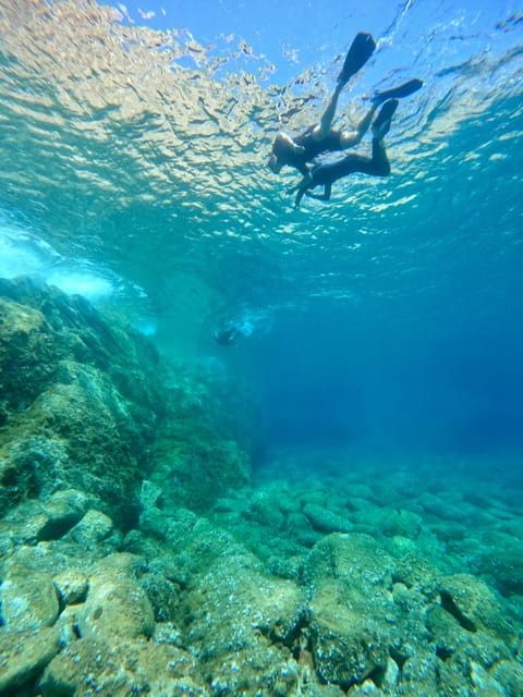 Calvi : Sortie snorkeling en bateau en bordure de réserve - What you can see under the surface in Corsica’s protected waters