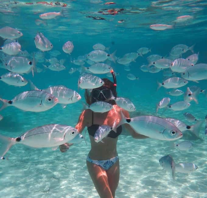 Calvi : Sortie snorkeling en bateau en bordure de réserve - Gear, wetsuits, and the quick coaching you get before snorkeling