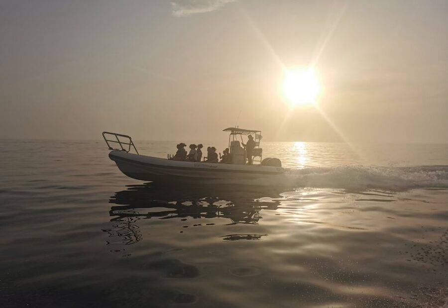 Cargèse: Calanques of Piana Capo Rosso Semi-Rigid Boat Tour - Return to Cargèse: sunset colors that look better from water