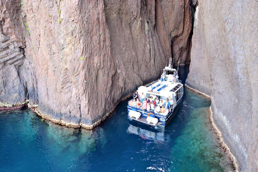 Cargèse: Scandola and Piana Boat Tour with Stop at Girolata - Capo Senino and the Calanques de Piana Finish, Plus the Dolphin Factor