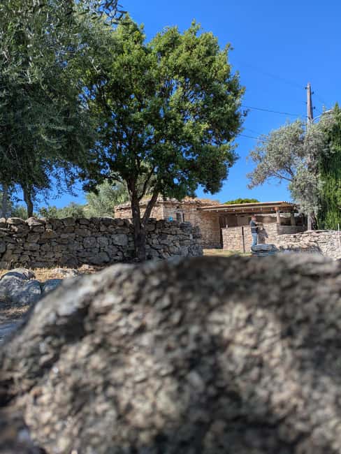 Corsica: Organic wine tasting - Key highlights you should care about