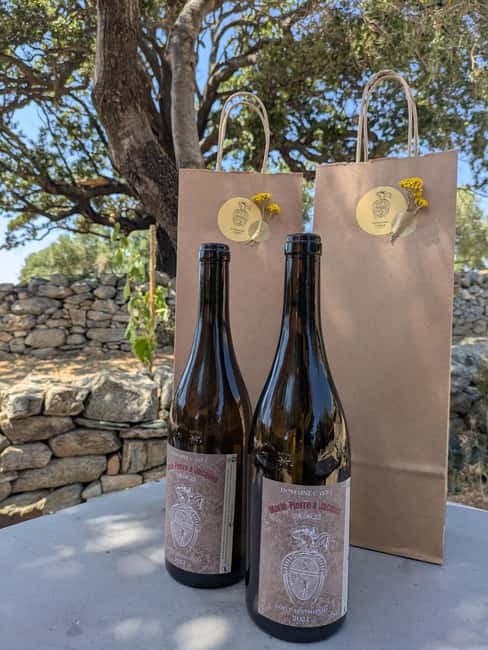 Corsica: Organic wine tasting - Should you book Domaine Casta’s organic tasting?