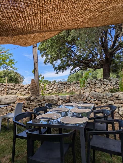 Corsica: Organic wine tasting - Pricing and value: $11 for a 30-minute tasting
