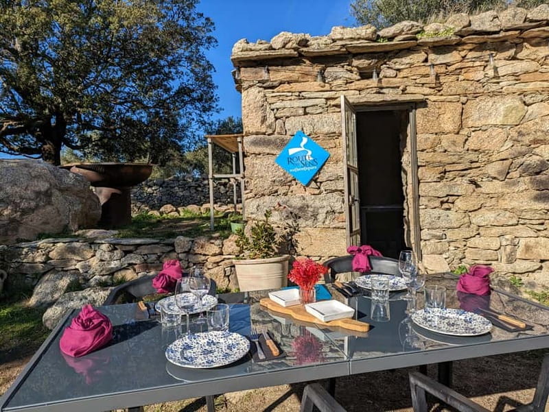 Corsica: Organic wine tasting - Practical details that help you plan smoothly