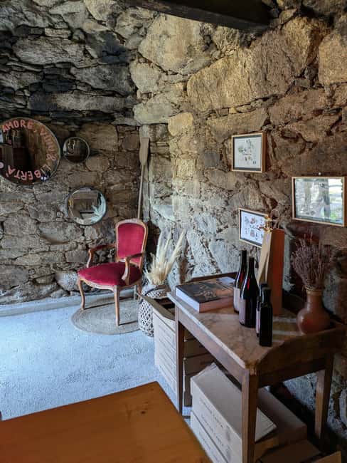 Corsica: Organic wine tasting - What the 30-minute organic wine tasting actually includes