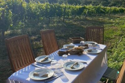 Corsican Wine Tasting & Picnic in Balagne