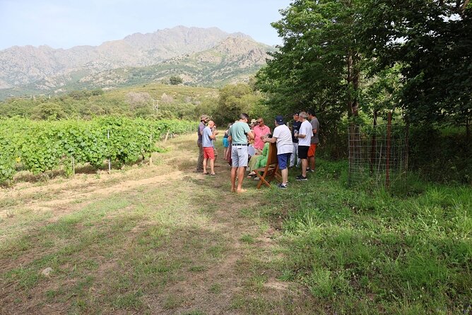 Corsican Wine Tasting & Picnic in Balagne - Who this Balagne wine tasting suits best