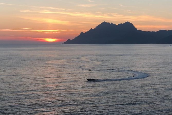 Cruise Calanches de Piana and Scandola Reserve - Captain Style and Dolphin Chances: Why the Guide Can Make or Break It