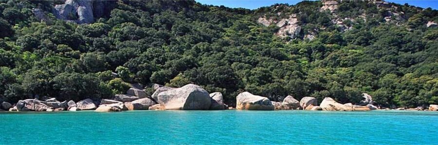 Day cruise to the Cerbicales & Lavezzi Islands with lunch - The afternoon return: Cavallo, then Carratoghju or Cerbicales