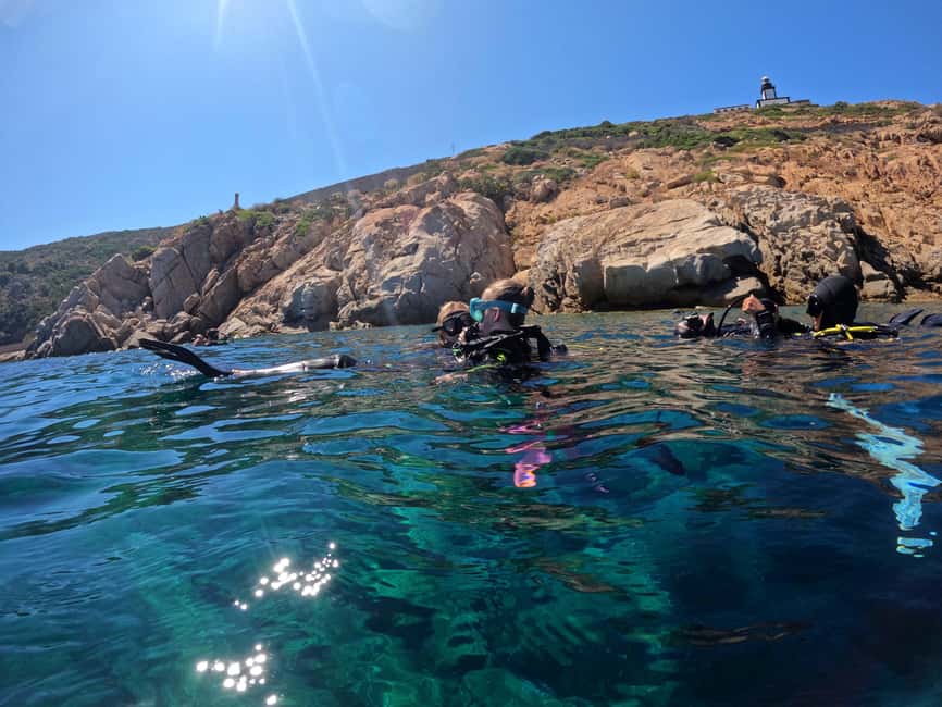 First Scuba Diving Experience in Calvi (From 8 yo) - Price and value: what you are paying for at $106 per person