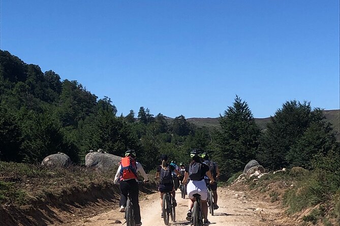 Free rental MTB AE Cuscionu plateau - Where You Start in Zicavo, and How It Gets You Riding