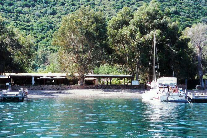 Friendly discovery of Scandola Calanques de Piana and meal stop at Girolata - Price and value: what your $82.27 actually buys