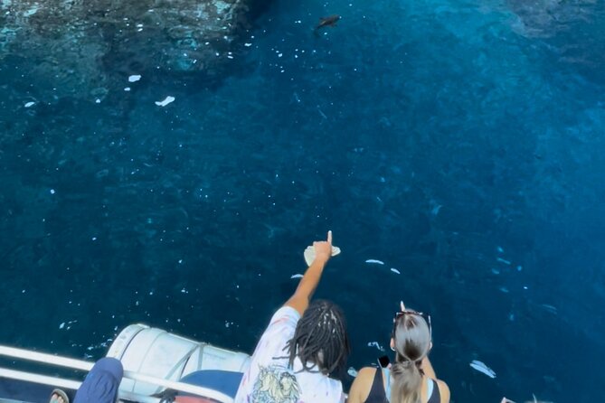 Friendly discovery of Scandola Calanques de Piana and meal stop at Girolata - FAQ