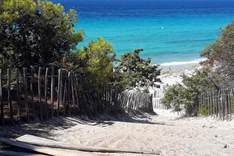 From Calvi: 4x4 Day Tour Mountain & Agriates' Saleccia Beach - Who this tour suits best (and who should think twice)