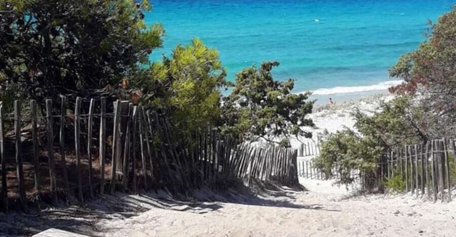 From Calvi: 4x4 Day Tour Mountain & Agriates' Saleccia Beach - What to pack, what to wear, and what to avoid