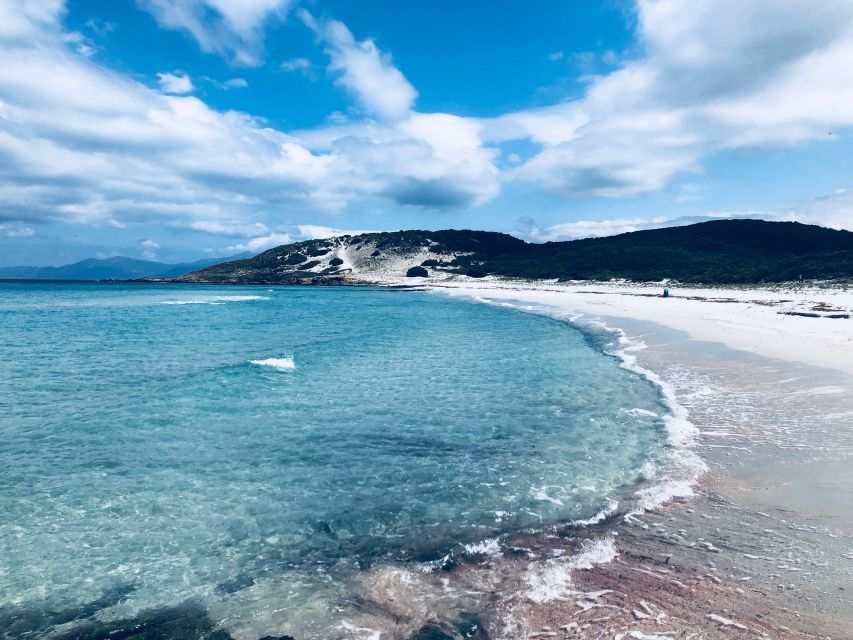 From Calvi: 4x4 Day Tour Mountain & Agriates' Saleccia Beach - Pickup, timing, and the real feel of the road