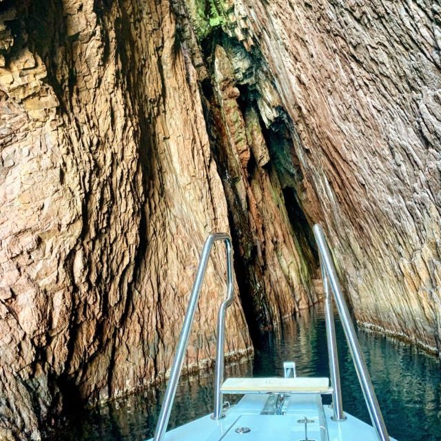 From Lumio: Les Agriates Desert Cruise with swimming - Key highlights to know before you go