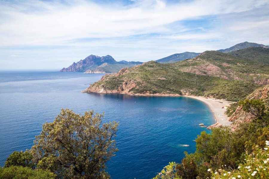 From Porto: Boat tour to the Calanches of Piana & Capo Rosso - Ficajola Beach by sea: the cove-only feeling you’re here for