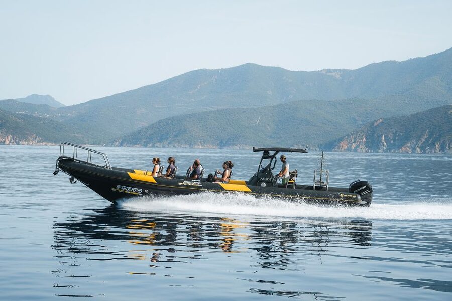 From Porto: Piana Creeks and Scandola Semi-Rigid Boat Tour - Practical tips that help you enjoy the day