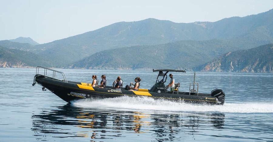 From Porto: Piana Creeks and Scandola Semi-Rigid Boat Tour - Stop-by-stop: a 3-hour route that stays focused