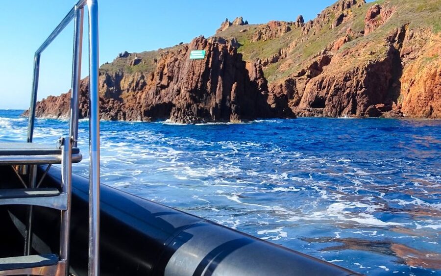 From Porto: Piana Creeks and Scandola Semi-Rigid Boat Tour - Price and what you are really paying for ($94 per person)