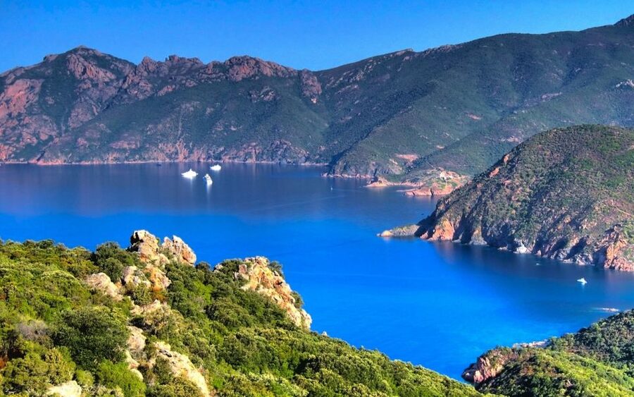 The Gulf of Porto, red cliffs above blue water
