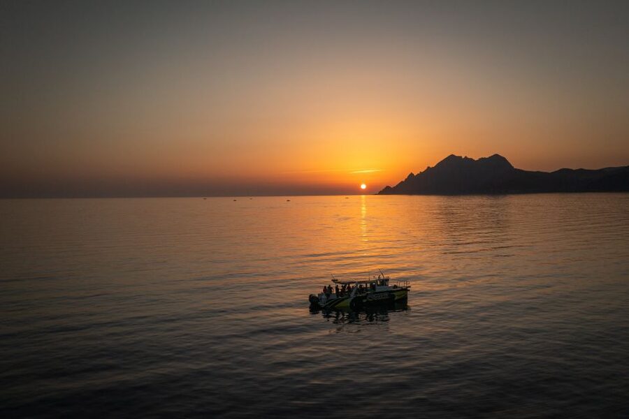 From Porto: Piana Creeks, Scandola on Family Boat - Key highlights to plan around