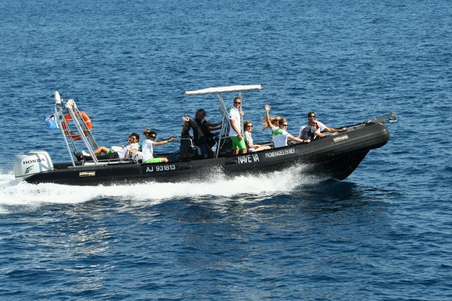 From Porto: Scandola and Calanche de Piana Boat Tour - The First Cruise: Gulf of Porto and the Guided Warm-Up
