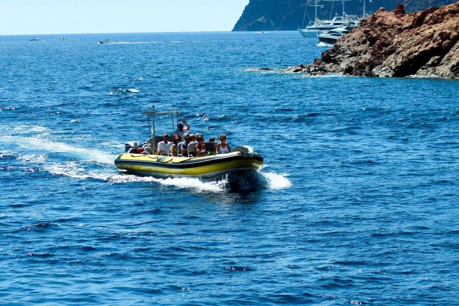 From Porto: Scandola and Calanche de Piana Boat Tour - Price and Value: Is $82 Worth It?