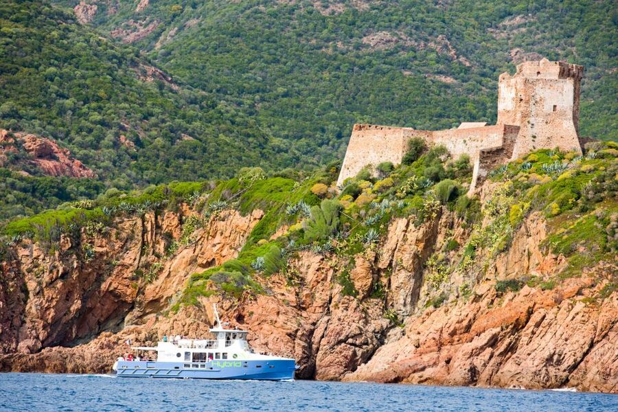 From Porto: Scandola & Girolata Tour by Boat - Quick hits: What makes this Porto boat tour worth your attention