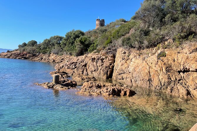 From Sagone/Cargèse: Coves of Piana sea cave Snorkeling - Who should book this, and who might want a different plan