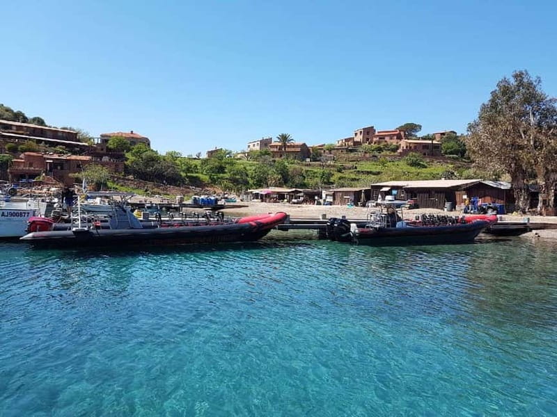From Sagone/Cargèse: Piana, Scandola, Girolata Boat Tour - Key points to know