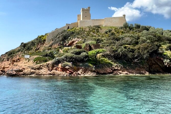 From Sagone/Cargèse: Scandola Calanques Piana Girolata Snorkeling - Capo Rosso: swim time in bright water and fish life